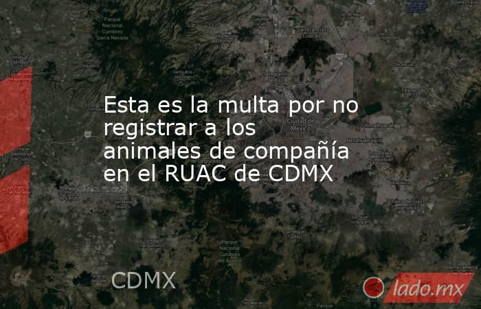 Esta es la multa por no registrar a los animales de compañía en el RUAC de CDMX. Noticias en tiempo real