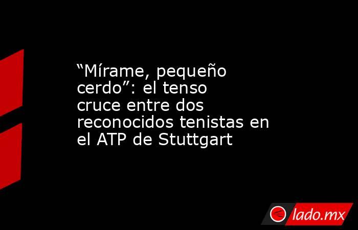 “Mírame, pequeño cerdo”: el tenso cruce entre dos reconocidos tenistas en el ATP de Stuttgart. Noticias en tiempo real