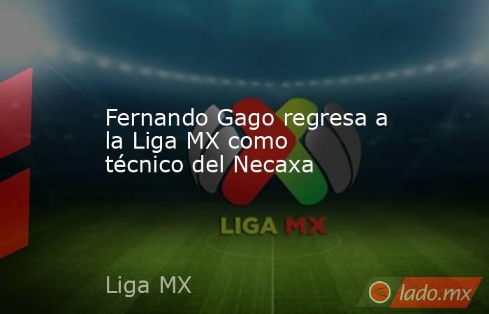 Fernando Gago regresa a la Liga MX como técnico del Necaxa. Noticias en tiempo real