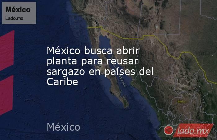 México busca abrir planta para reusar sargazo en países del Caribe. Noticias en tiempo real