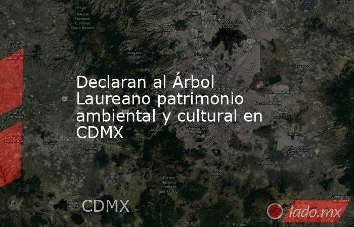 Declaran al Árbol Laureano patrimonio ambiental y cultural en CDMX. Noticias en tiempo real