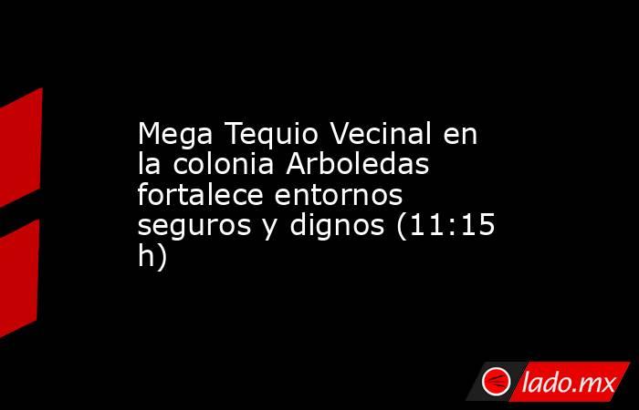 Mega Tequio Vecinal en la colonia Arboledas fortalece entornos seguros y dignos (11:15 h). Noticias en tiempo real