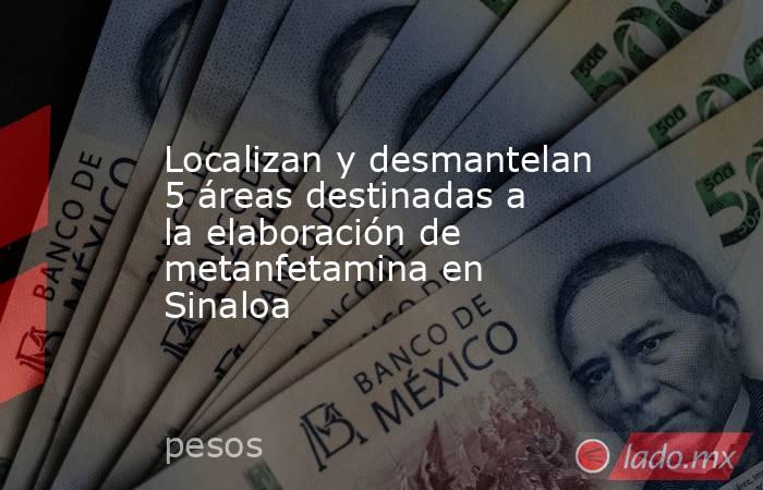 Localizan y desmantelan 5 áreas destinadas a la elaboración de metanfetamina en Sinaloa. Noticias en tiempo real