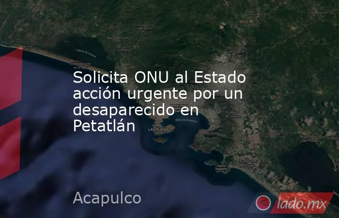 Solicita ONU al Estado acción urgente por un desaparecido en Petatlán. Noticias en tiempo real