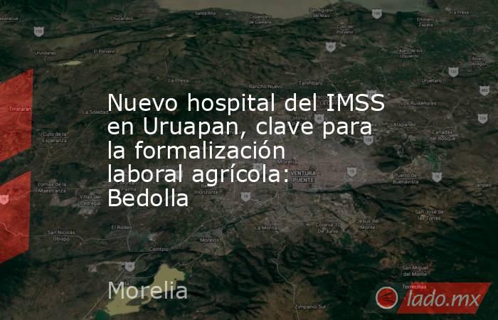 Nuevo hospital del IMSS en Uruapan, clave para la formalización laboral agrícola: Bedolla. Noticias en tiempo real