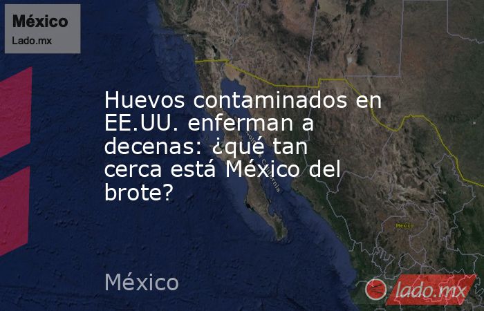 Huevos contaminados en EE.UU. enferman a decenas: ¿qué tan cerca está México del brote?. Noticias en tiempo real