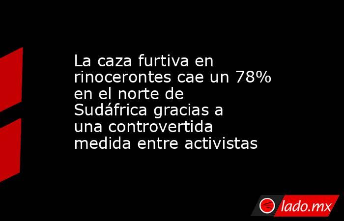 La caza furtiva en rinocerontes cae un 78% en el norte de Sudáfrica gracias a una controvertida medida entre activistas. Noticias en tiempo real