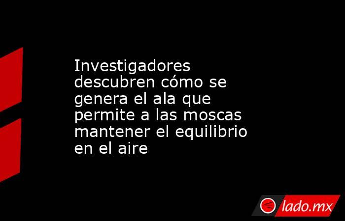 Investigadores descubren cómo se genera el ala que permite a las moscas mantener el equilibrio en el aire. Noticias en tiempo real
