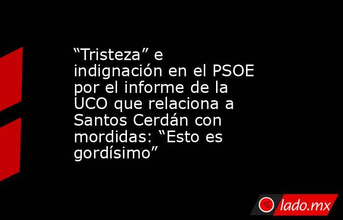 “Tristeza” e indignación en el PSOE por el informe de la UCO que relaciona a Santos Cerdán con mordidas: “Esto es gordísimo”. Noticias en tiempo real