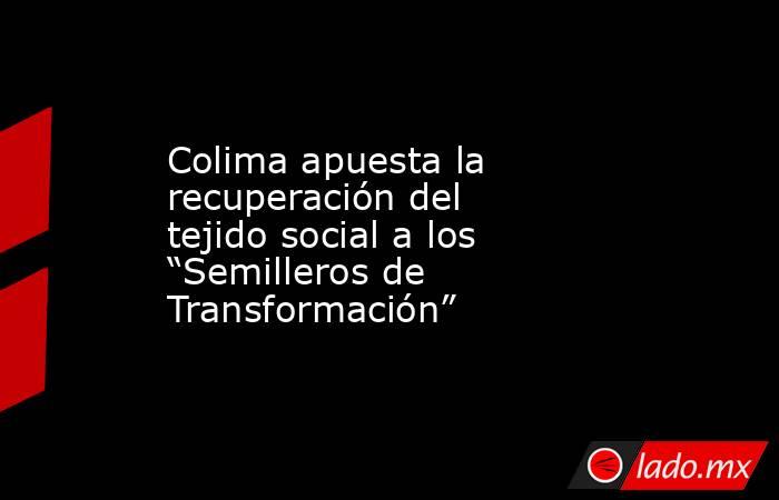 Colima apuesta la recuperación del tejido social a los “Semilleros de Transformación”. Noticias en tiempo real