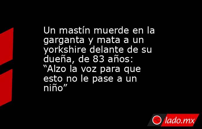 Un mastín muerde en la garganta y mata a un yorkshire delante de su dueña, de 83 años: “Alzo la voz para que esto no le pase a un niño”. Noticias en tiempo real
