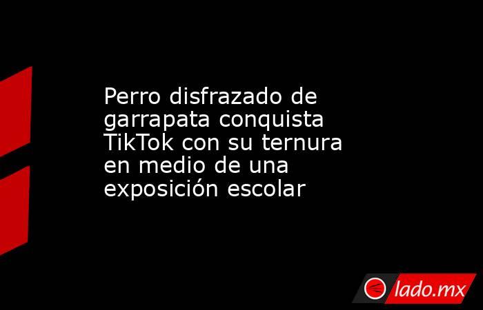 Perro disfrazado de garrapata conquista TikTok con su ternura en medio de una exposición escolar . Noticias en tiempo real