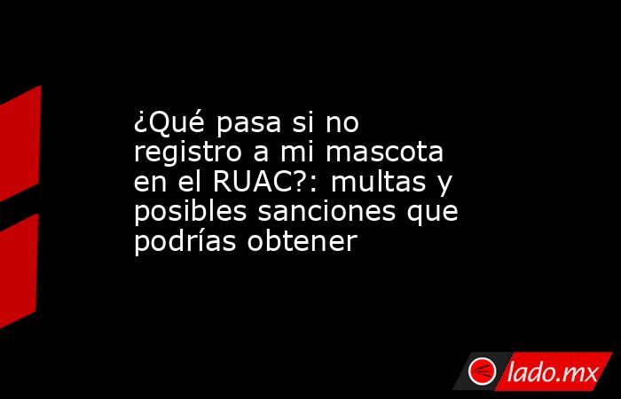 ¿Qué pasa si no registro a mi mascota en el RUAC?: multas y posibles sanciones que podrías obtener. Noticias en tiempo real