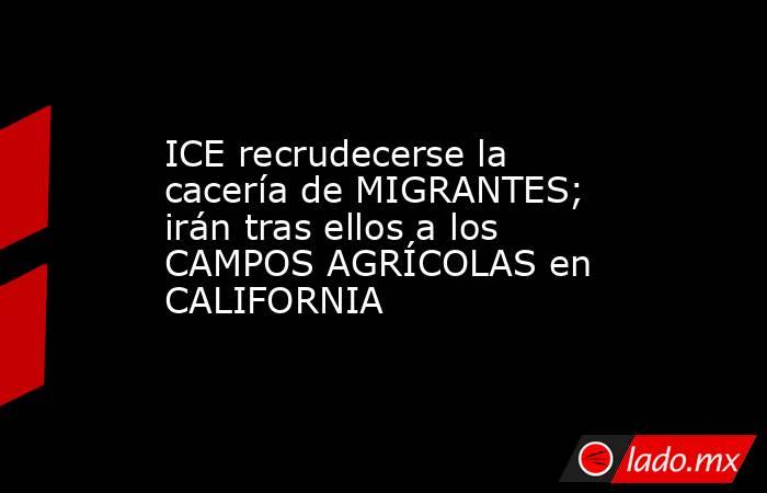 ICE recrudecerse la cacería de MIGRANTES; irán tras ellos a los CAMPOS AGRÍCOLAS en CALIFORNIA. Noticias en tiempo real
