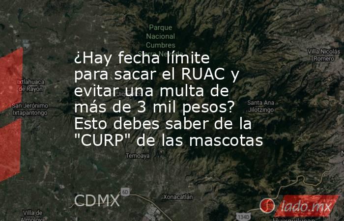 ¿Hay fecha límite para sacar el RUAC y evitar una multa de más de 3 mil pesos? Esto debes saber de la 