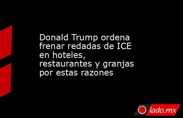 Donald Trump ordena frenar redadas de ICE en hoteles, restaurantes y granjas por estas razones. Noticias en tiempo real