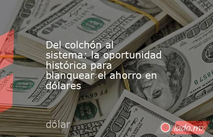Del colchón al sistema: la oportunidad histórica para blanquear el ahorro en dólares. Noticias en tiempo real