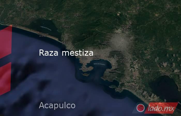 Raza mestiza. Noticias en tiempo real