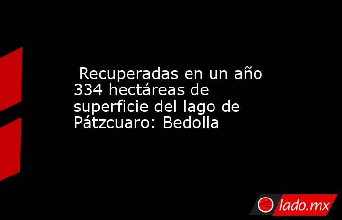  Recuperadas en un año 334 hectáreas de superficie del lago de Pátzcuaro: Bedolla. Noticias en tiempo real