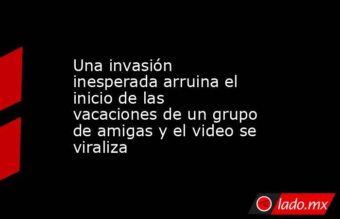Una invasión inesperada arruina el inicio de las vacaciones de un grupo de amigas y el video se viraliza. Noticias en tiempo real
