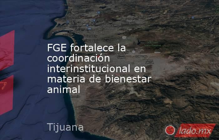 FGE fortalece la coordinación interinstitucional en materia de bienestar animal. Noticias en tiempo real