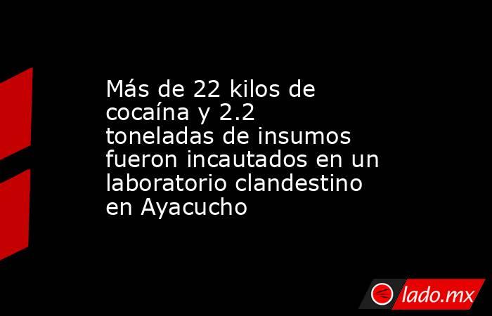 Más de 22 kilos de cocaína y 2.2 toneladas de insumos fueron incautados en un laboratorio clandestino en Ayacucho. Noticias en tiempo real