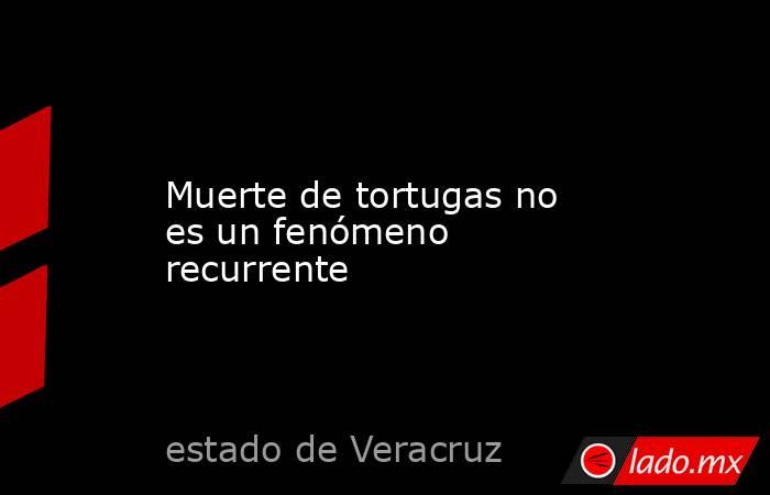 Muerte de tortugas no es un fenómeno recurrente. Noticias en tiempo real