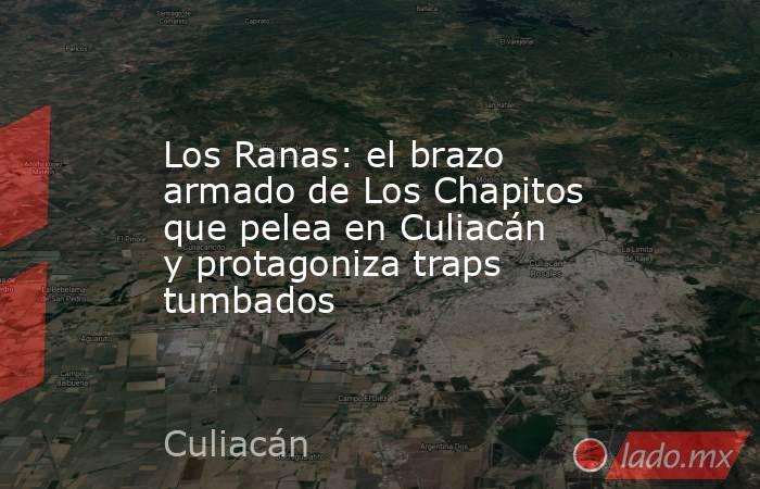 Los Ranas: el brazo armado de Los Chapitos que pelea en Culiacán y protagoniza traps tumbados. Noticias en tiempo real