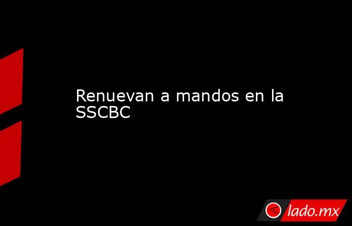 Renuevan a mandos en la SSCBC . Noticias en tiempo real