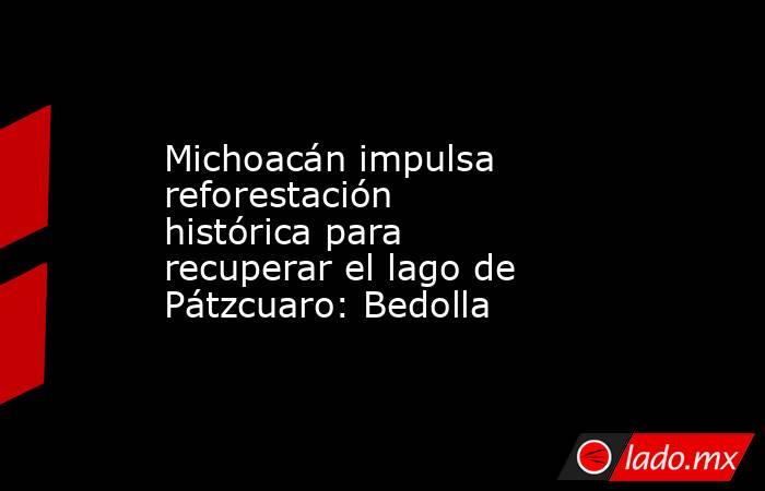 Michoacán impulsa reforestación histórica para recuperar el lago de Pátzcuaro: Bedolla. Noticias en tiempo real
