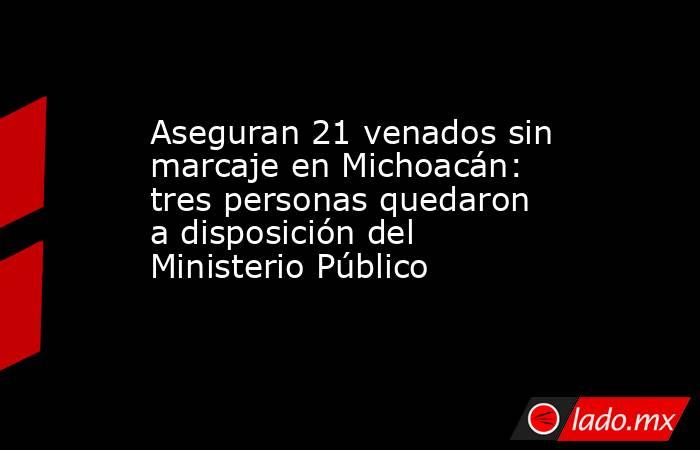 Aseguran 21 venados sin marcaje en Michoacán: tres personas quedaron a disposición del Ministerio Público. Noticias en tiempo real