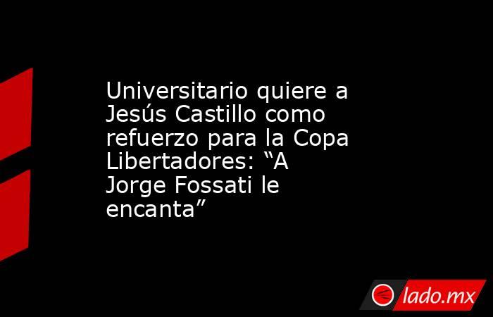 Universitario quiere a Jesús Castillo como refuerzo para la Copa Libertadores: “A Jorge Fossati le encanta” . Noticias en tiempo real