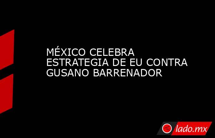 MÉXICO CELEBRA ESTRATEGIA DE EU CONTRA GUSANO BARRENADOR. Noticias en tiempo real