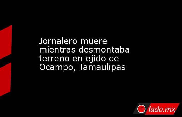 Jornalero muere mientras desmontaba terreno en ejido de Ocampo, Tamaulipas. Noticias en tiempo real