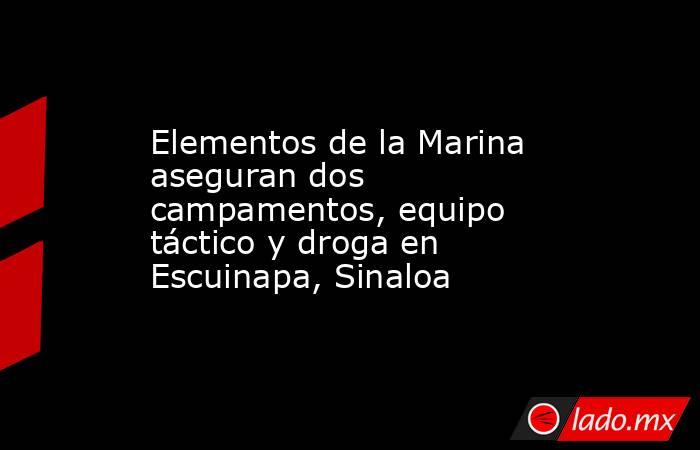 Elementos de la Marina aseguran dos campamentos, equipo táctico y droga en Escuinapa, Sinaloa. Noticias en tiempo real