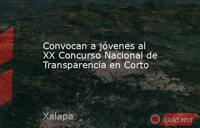 Convocan a jóvenes al XX Concurso Nacional de Transparencia en Corto. Noticias en tiempo real