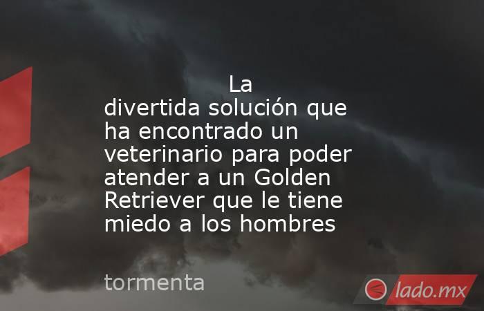                                                                                         La divertida solución que ha encontrado un veterinario para poder atender a un Golden Retriever que le tiene miedo a los hombres                                       . Noticias en tiempo real