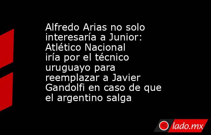 Alfredo Arias no solo interesaría a Junior: Atlético Nacional iría por el técnico uruguayo para reemplazar a Javier Gandolfi en caso de que el argentino salga  . Noticias en tiempo real