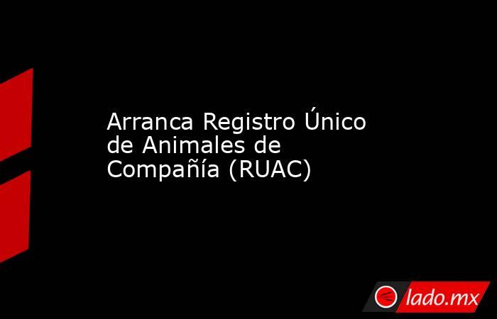 Arranca Registro Único de Animales de Compañía (RUAC). Noticias en tiempo real
