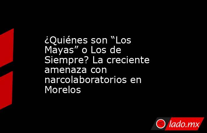 ¿Quiénes son “Los Mayas” o Los de Siempre? La creciente amenaza con narcolaboratorios en Morelos . Noticias en tiempo real