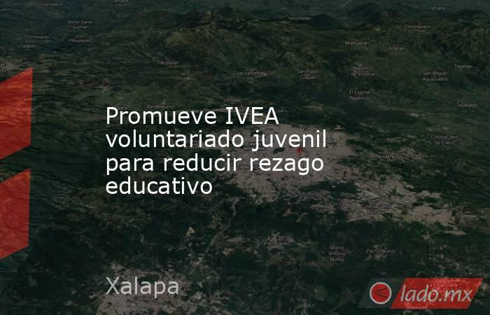 Promueve IVEA voluntariado juvenil para reducir rezago educativo. Noticias en tiempo real
