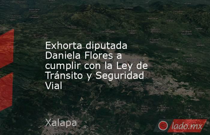 Exhorta diputada Daniela Flores a cumplir con la Ley de Tránsito y Seguridad Vial. Noticias en tiempo real
