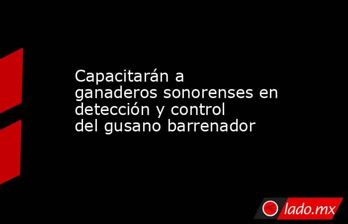 Capacitarán a ganaderos sonorenses en detección y control del gusano barrenador. Noticias en tiempo real