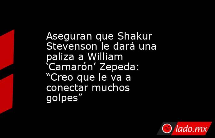 Aseguran que Shakur Stevenson le dará una paliza a William ‘Camarón’ Zepeda: “Creo que le va a conectar muchos golpes”. Noticias en tiempo real