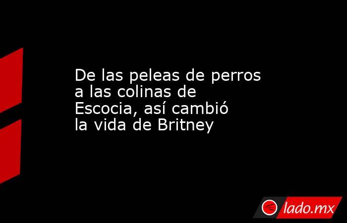 De las peleas de perros a las colinas de Escocia, así cambió la vida de Britney . Noticias en tiempo real
