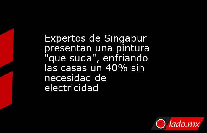 Expertos de Singapur presentan una pintura 