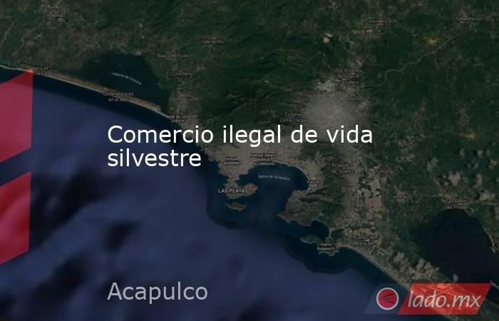 Comercio ilegal de vida silvestre. Noticias en tiempo real