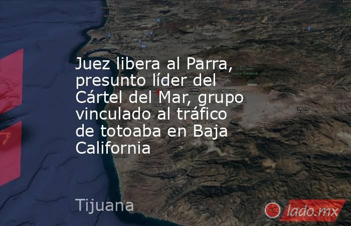 Juez libera al Parra, presunto líder del Cártel del Mar, grupo vinculado al tráfico de totoaba en Baja California. Noticias en tiempo real