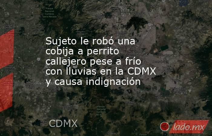 Sujeto le robó una cobija a perrito callejero pese a frío con lluvias en la CDMX y causa indignación . Noticias en tiempo real