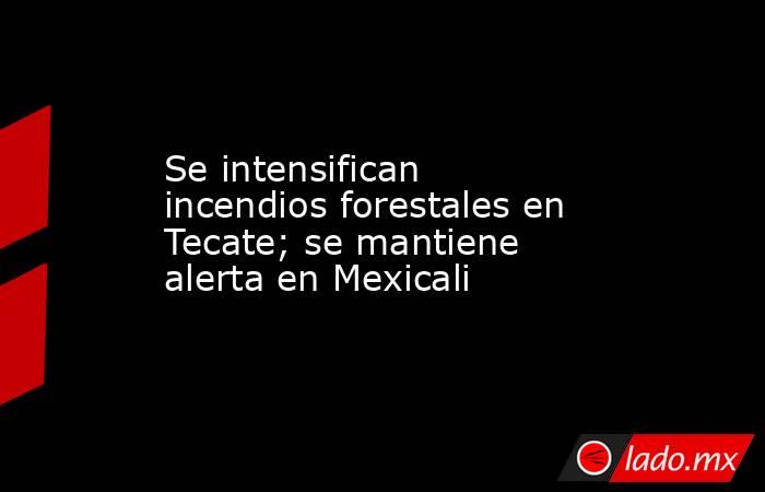 Se intensifican incendios forestales en Tecate; se mantiene alerta en Mexicali. Noticias en tiempo real